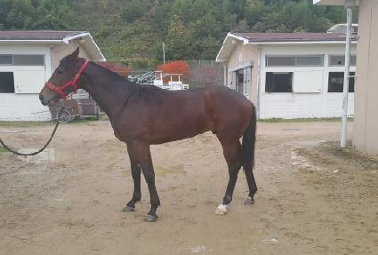 ���տ��̽� ����