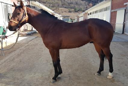 ������ ����