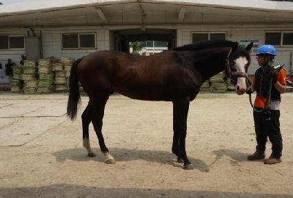 �����߰��� ����