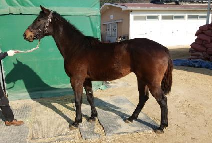 ��Ʈ����ũ�� ����