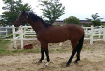 ���̸� (V MAN) ����