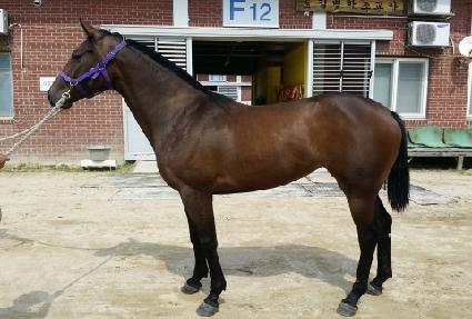 ������ ����