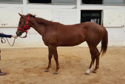 ���� ����