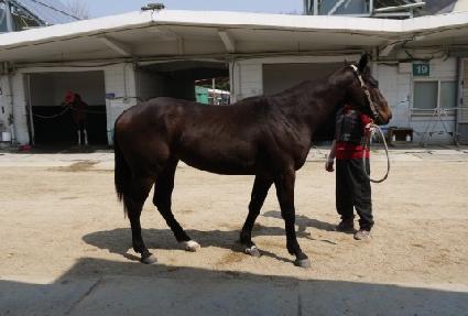 �ο����� ����