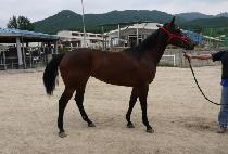 ���Ͽ콺 (BIG HOUSE) ����