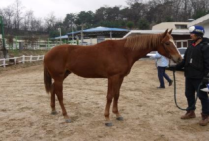 õ������ ����