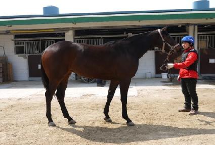 �Ƹ����� ����