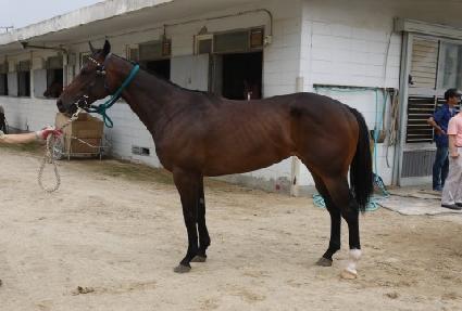 ������ ����