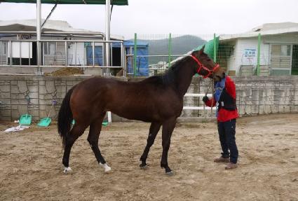 ��ȭ ����