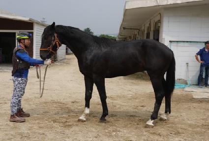 ������ ����