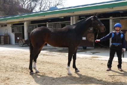 ���Ҹ��� ����