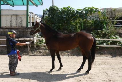 ������ ����