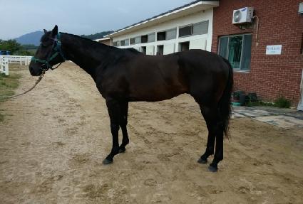 �������丮 ����