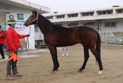 ����Ʈ�ô� ����