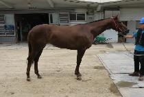 ���ѱݾ� (CHAKHAN GEUMA) ����