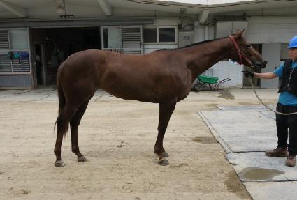 ���ѱݾ� ����