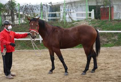 ������ ����