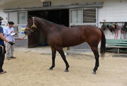 ��ƮŸ�� ����