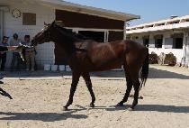 ����Ƽ (JANGSAN CITY) ����