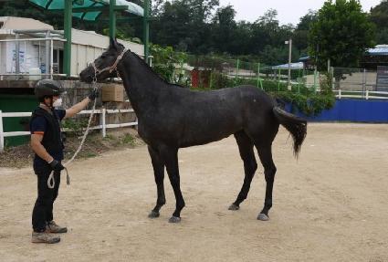 ���߹� ����