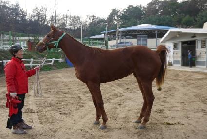 ������ ����