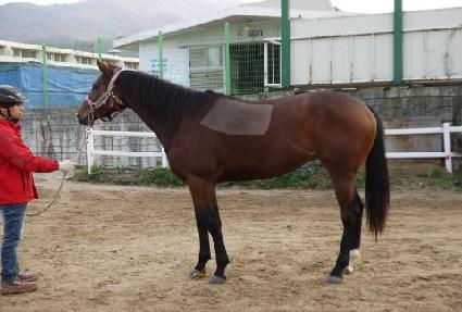 ���������� ����