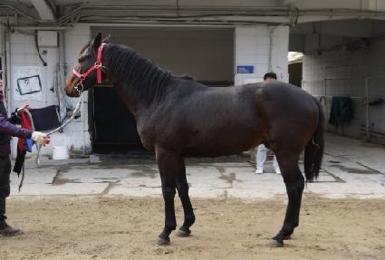 �̽���ŷ ����