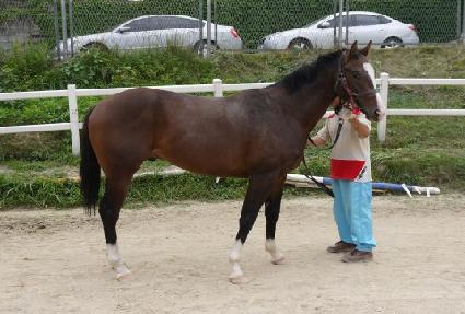 ��ö�Ŀ� ����