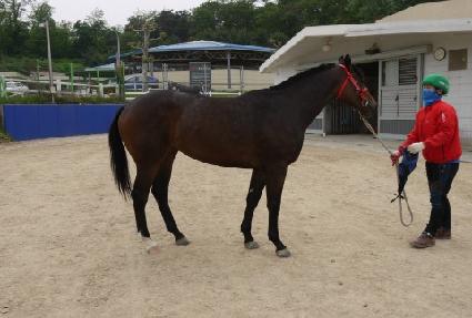 ����õ�� ����