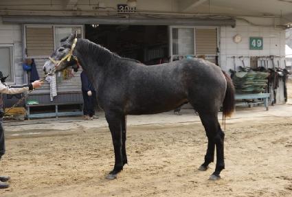 �ǹ��� ����