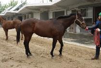 �������� (HOT TODAY) ����