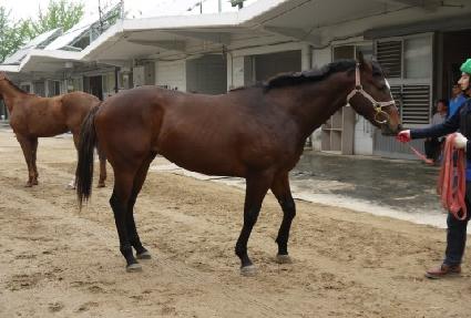 �������� ����