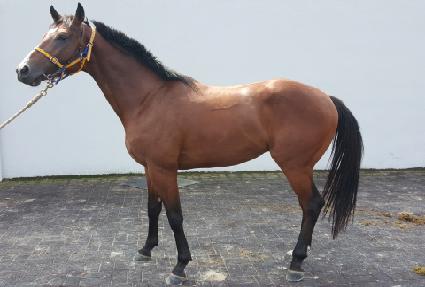 �üҿ��Ŀ�Ǯ ����