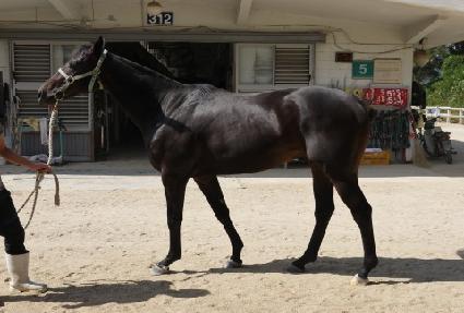 �ǹ������ ����