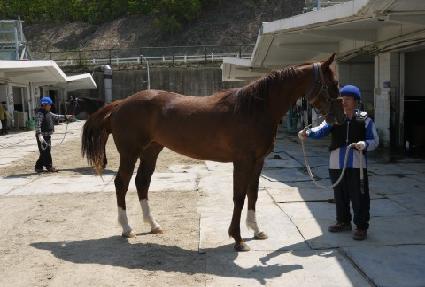 �������� ����