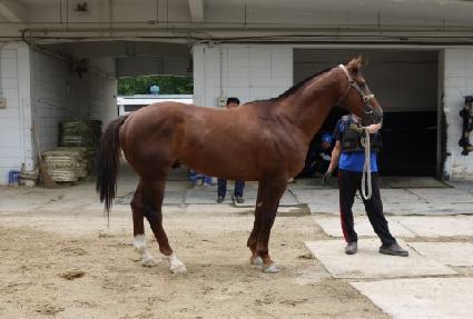 ���̺�Ʈ ����