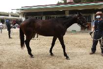 PILSEUNG DAESE picture