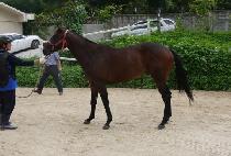 �Ѷ󸶴Ͼ� (HALLA MANIA) ����