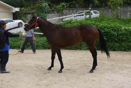 �Ѷ󸶴Ͼ� ����