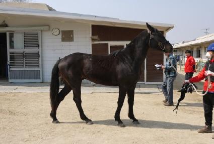 ��ö�ô� ����