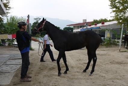 ����¯ ����