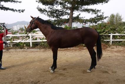 ������Ʈ ����