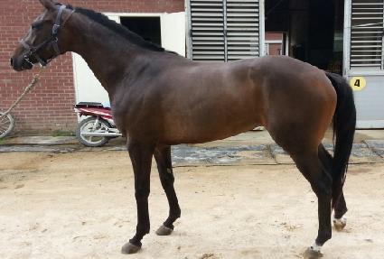 ������ ����