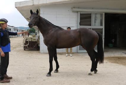 �ݰ����� ����