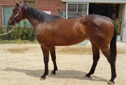 ȣ������ ����