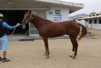 ��Ÿ��� ����