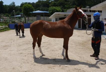 �ο����� ����