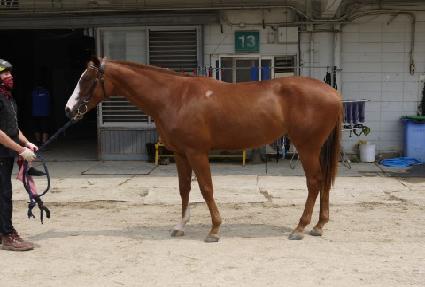 ���Ƚ�Ÿ ����