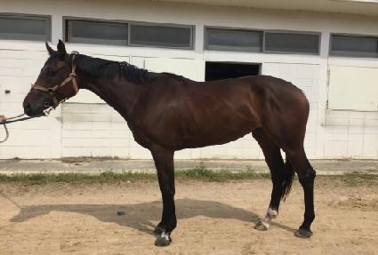 �������� ����