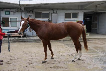 ��Ÿ���� ����